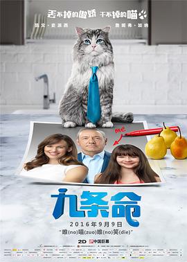 成人黄色短视频